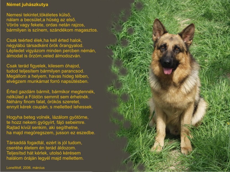 GSD-vers